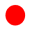 Primary CAC